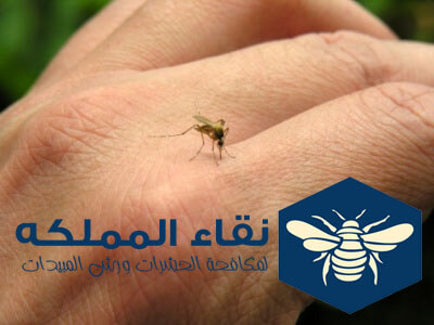 حشرات تسبب امراض جلدية